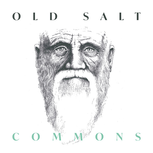Commons cover art