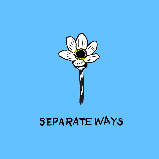 Album cover for Separate Ways by Pinact