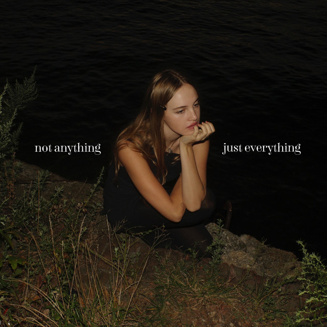 Not Anything, Just Everything cover art