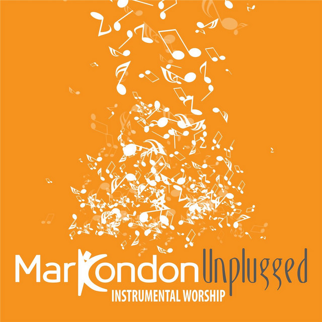 Unplugged: Worship Instrumental cover art