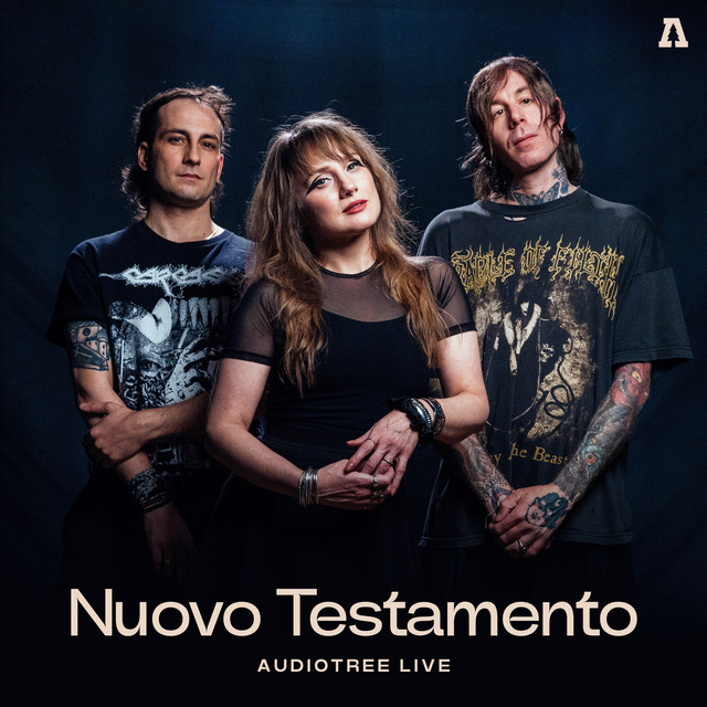 undefined album image