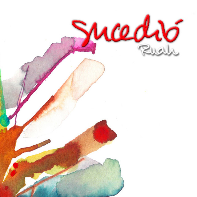 Sucedió cover art