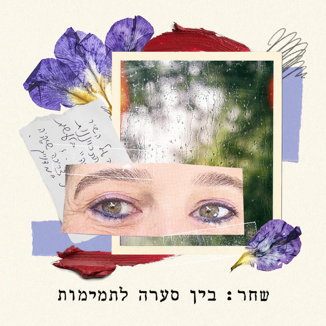 בין סערה לתמימות cover art