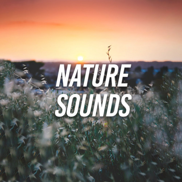 Nature Sounds cover art