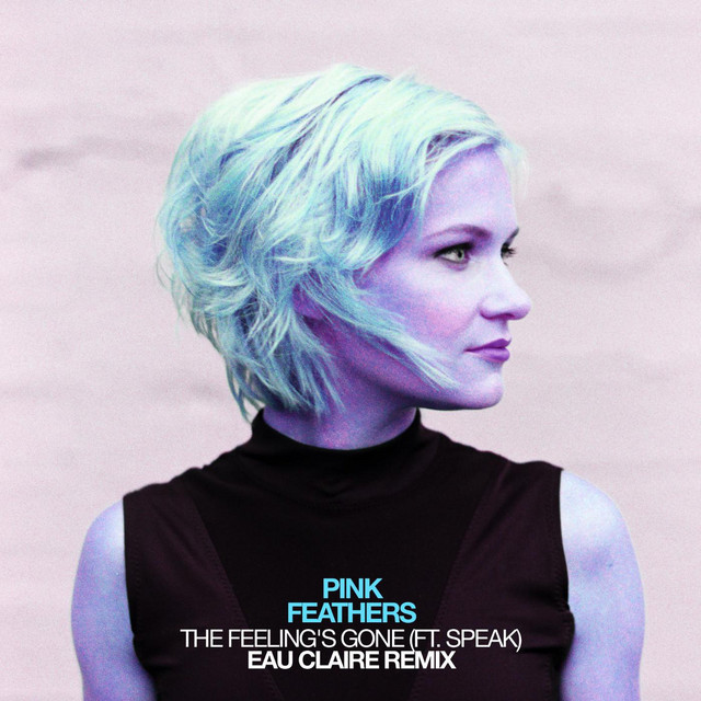 The Feeling's Gone (Eau Claire Remix) [feat. Speak] cover