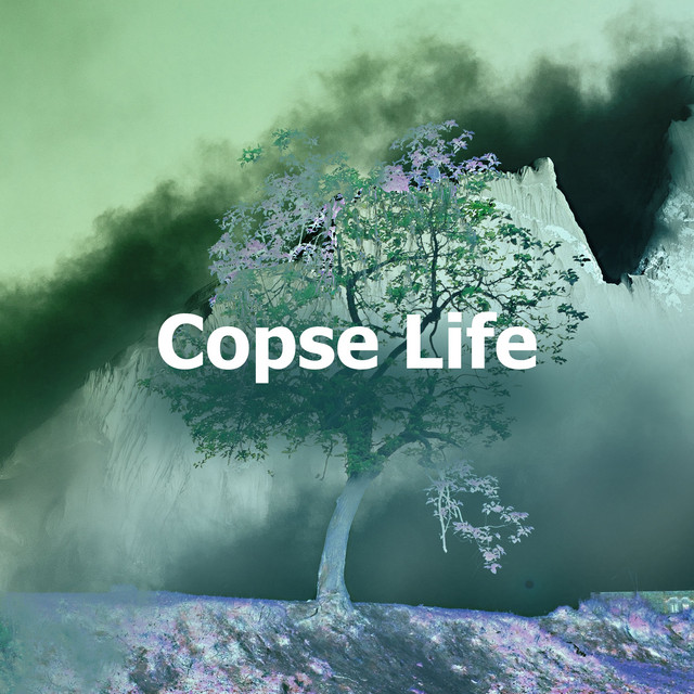 Copse Life cover art