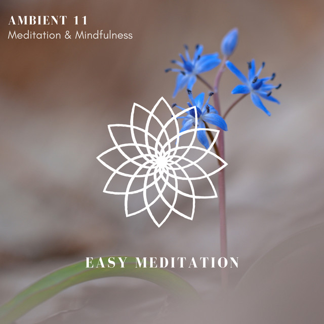 Meditation & Mindfulness cover art