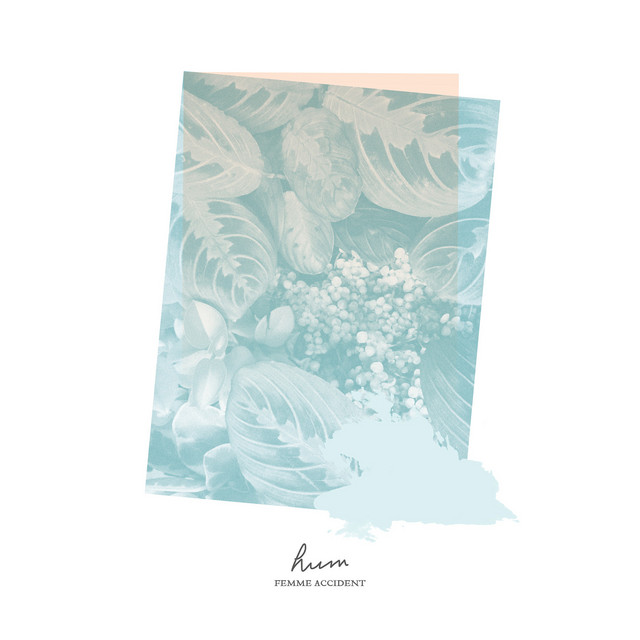 Hum cover