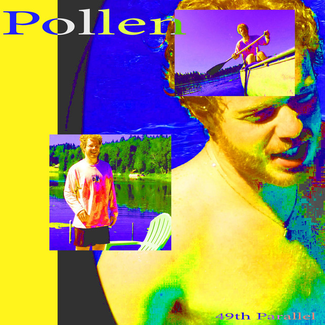 Pollen cover art