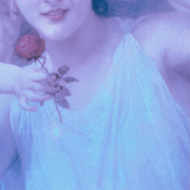 Petal cover art