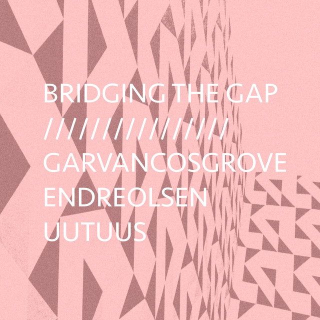 Bridging the Gap cover