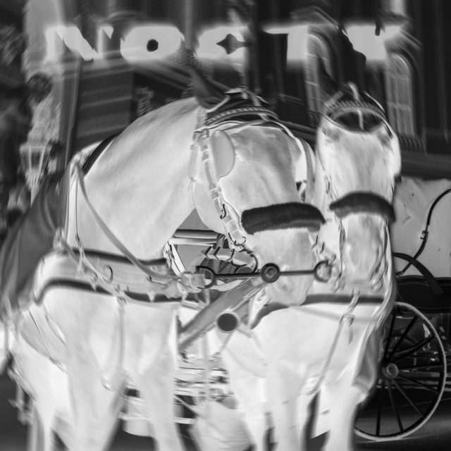 Nocty