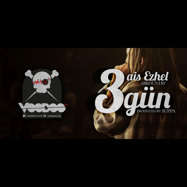 3 Gün cover art
