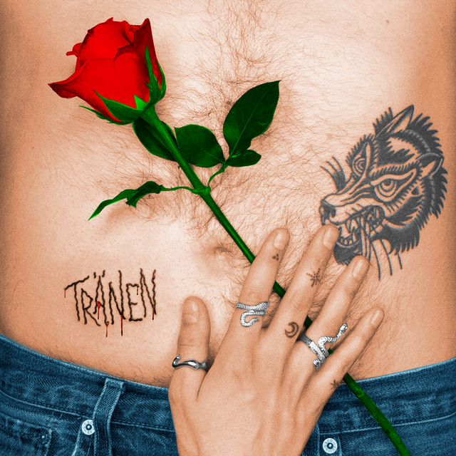 Komm und küss mich cover art