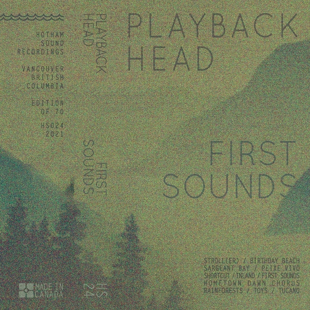 Playback Head