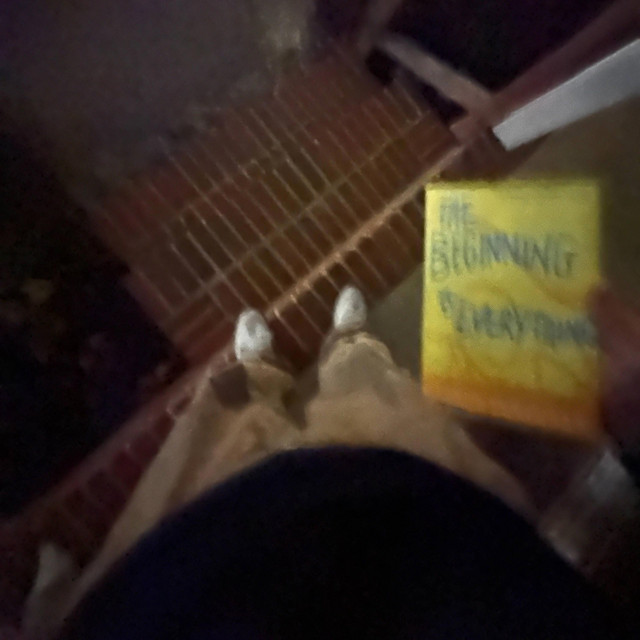 The Beginning of Everything cover art