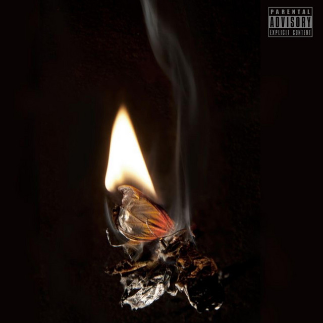 To Kill A Butterfly cover art
