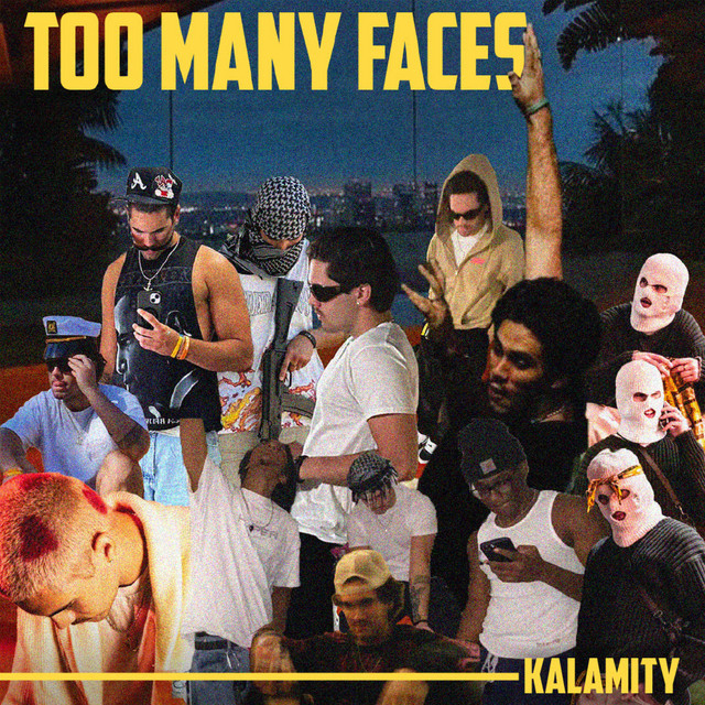 Too Many Faces cover art