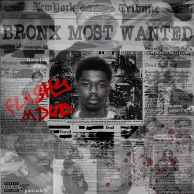 BRONX MOST WANTED cover art
