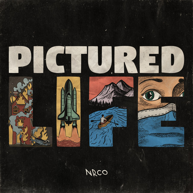 Pictured Life cover art