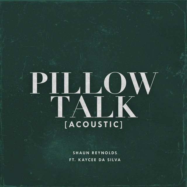 PILLOWTALK (Acoustic) cover