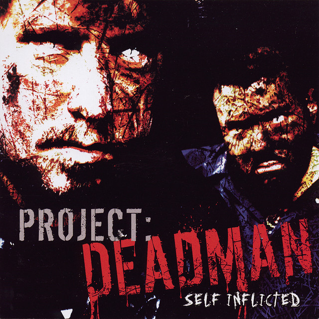 Self Inflicted cover art