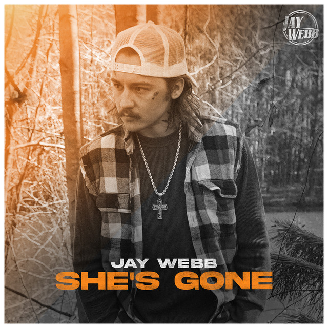 She's Gone cover art