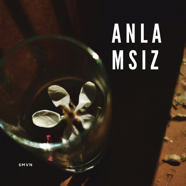 Anlamsız cover art