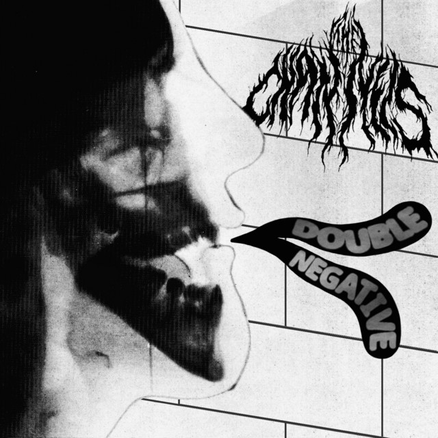 Double Negative cover art
