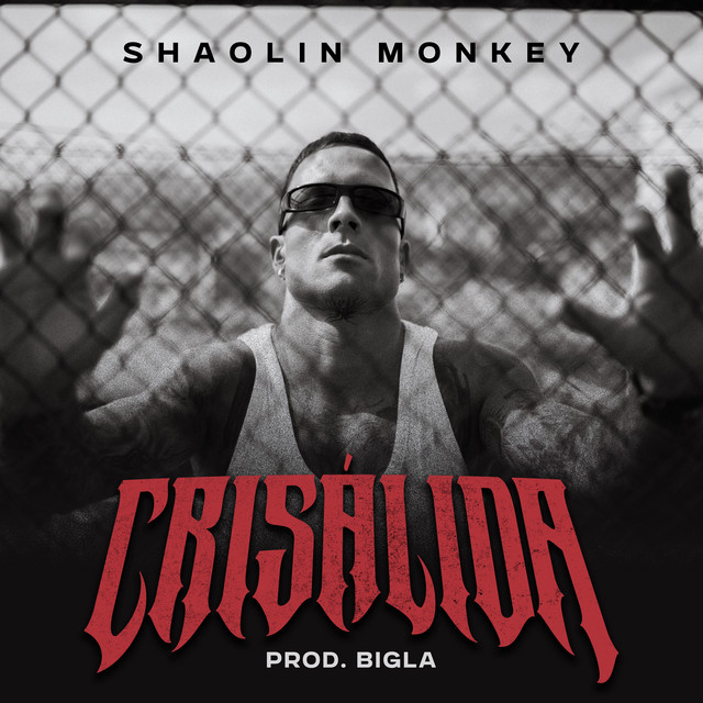 Crisálida cover art