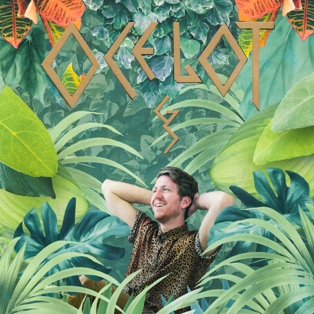 Ocelot cover art
