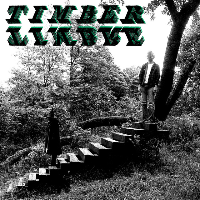 Timber Timbre cover art