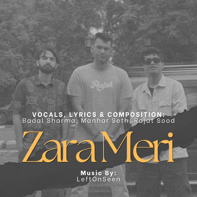 Zara Meri