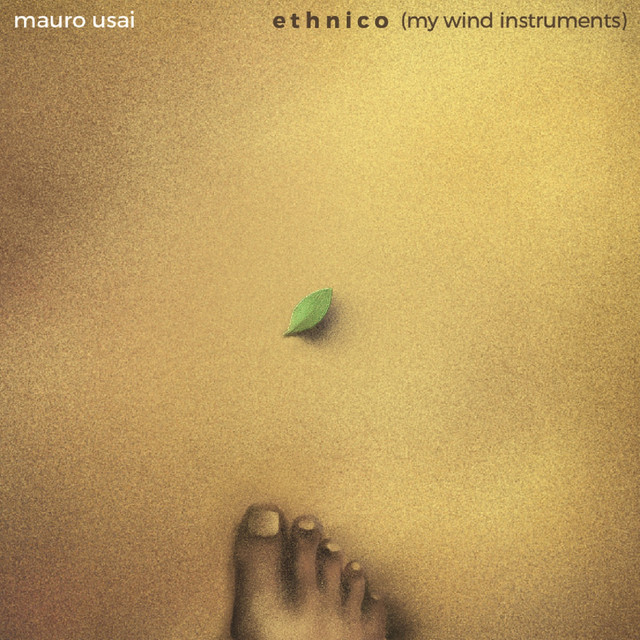 Ethnico (My Wind Instruments) cover art