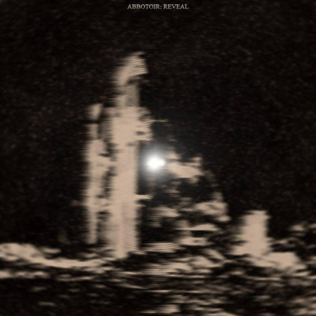 Reveal cover art