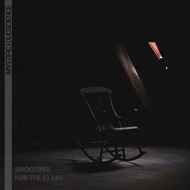 Shooting For The Star - Dub Version artwork