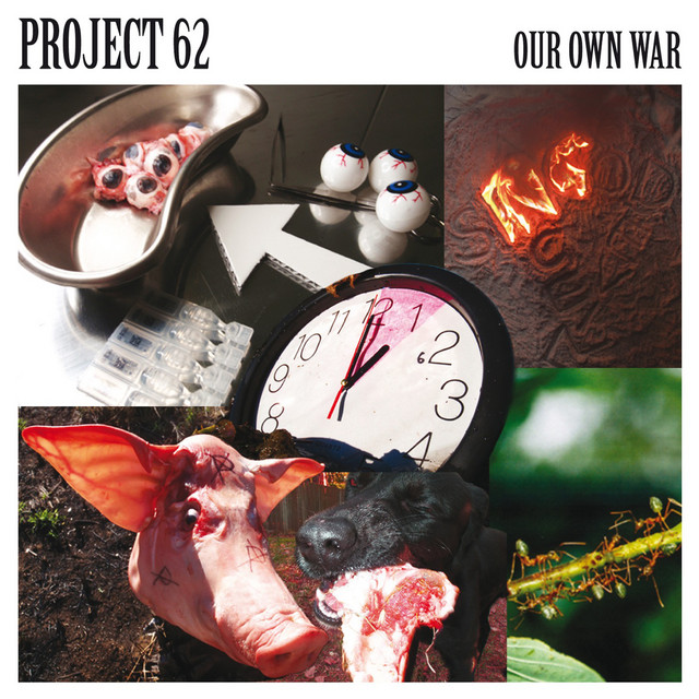 Our Own War cover art