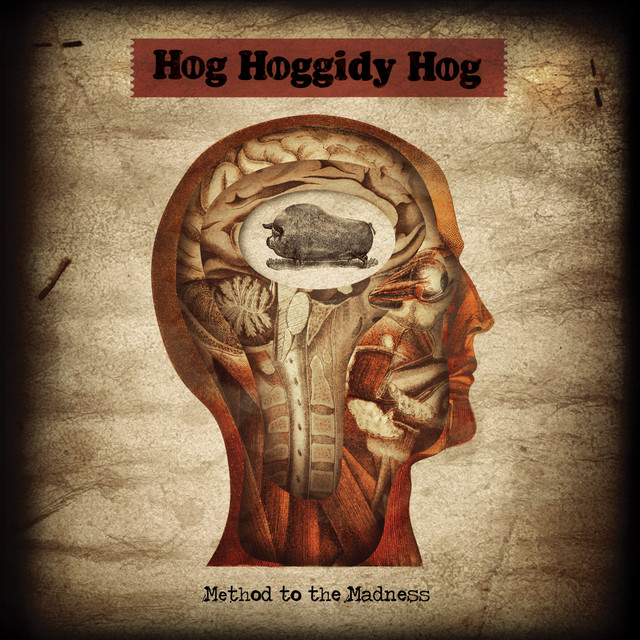 Hog Hoggidy Hog Photo