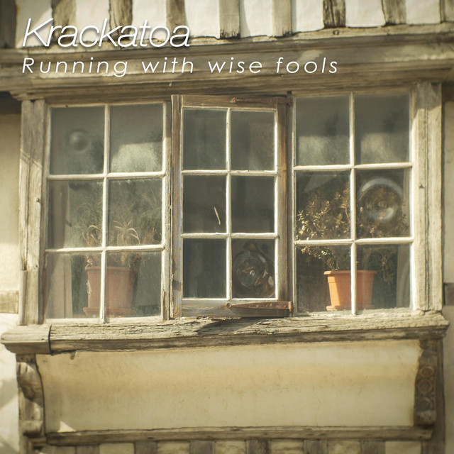 Running With Wise Fools cover