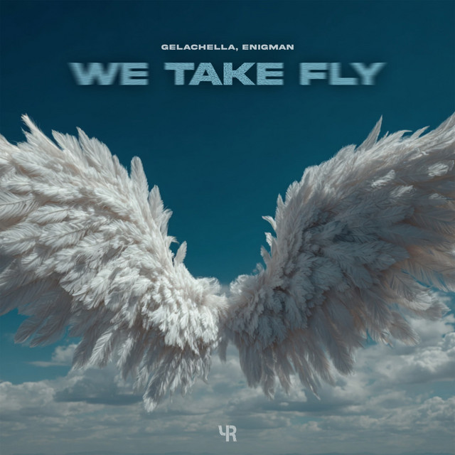 We Take Fly