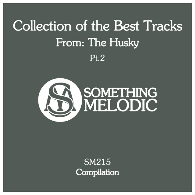 Love to You - The Husky Remix cover art