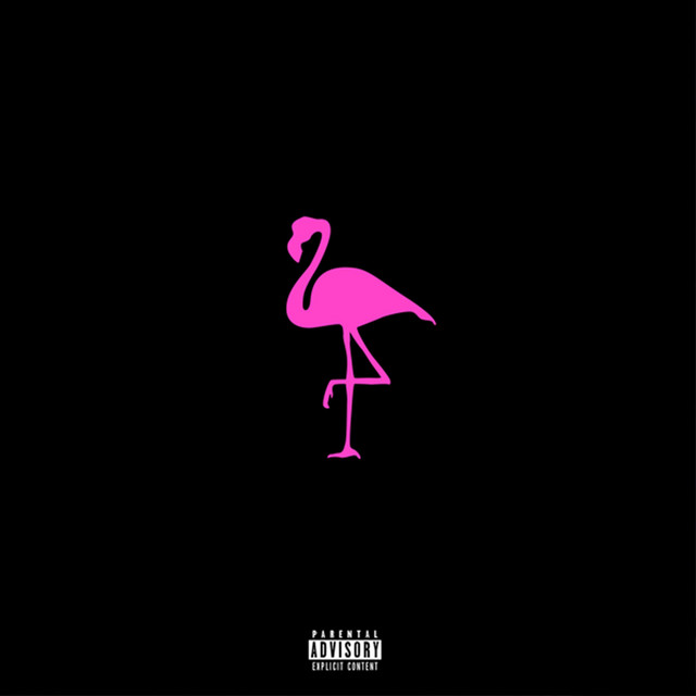 Flamingo cover art