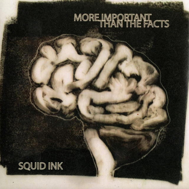 More Important That the Facts cover art