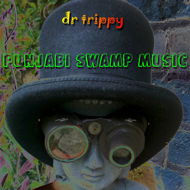Punjabi Swamp Music cover art