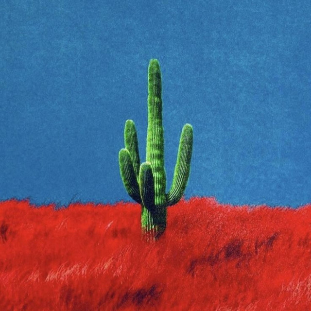 CACTUS B.O.Y.S. cover art