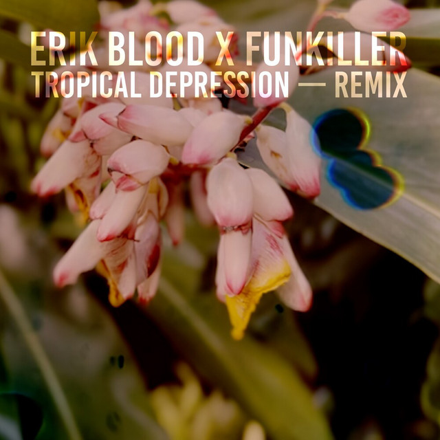 Tropical Depression (Erik Blood Remix) cover