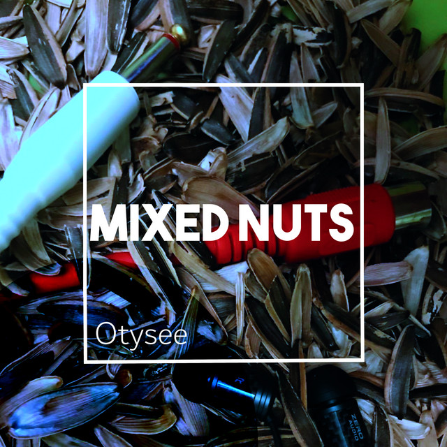 Mixed nuts cover art