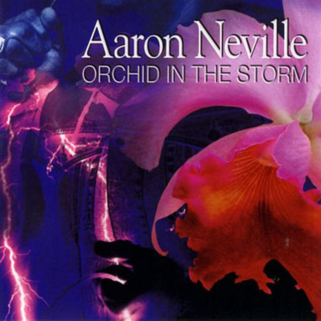 Orchid In The Storm cover art