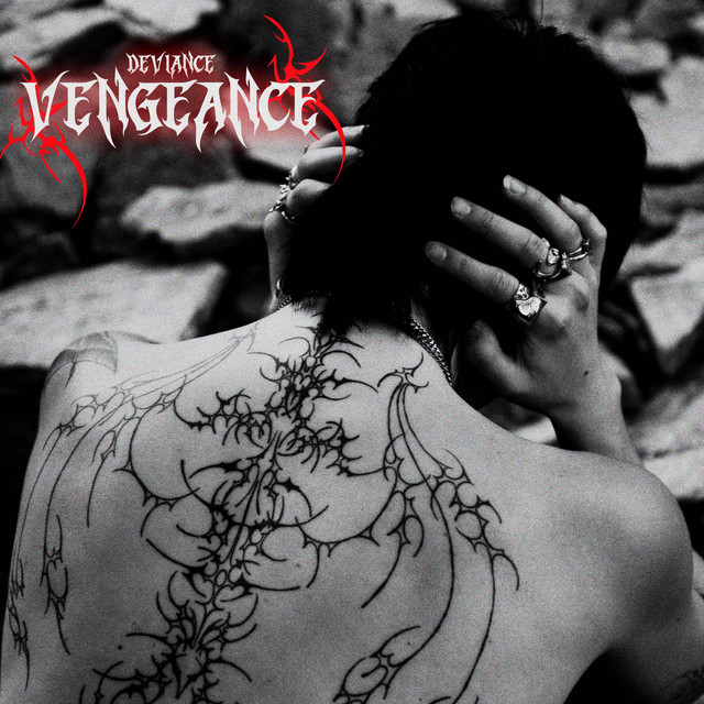 Vengeance cover art