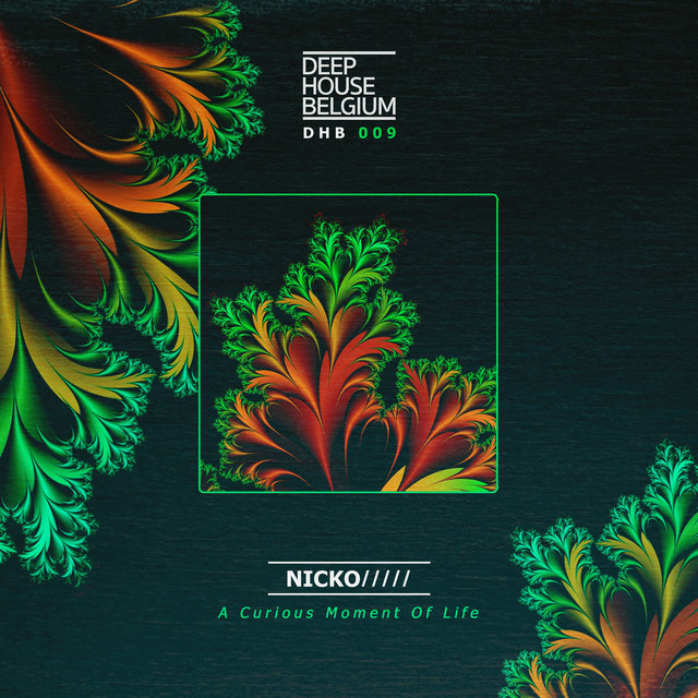 A Curious Moment of Life cover art